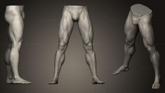 Anatomy of skeletons and skulls (Male Legs 1, ANTM_0161) 3D models for cnc